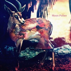 Moon Pollen - Gazela