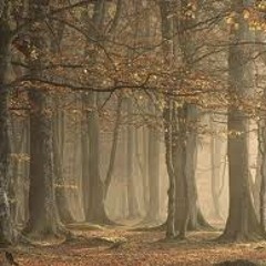 03 Child (Flashback)