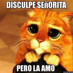 Disculpe Señorita(REMIX) - Lapso Oner FT Last'One & B-Raster(Galactic Music inc)