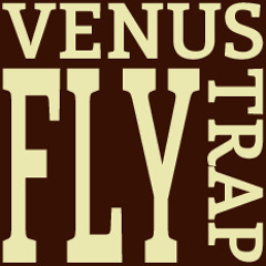 Venus Fly Trap - Crazy Perfect World