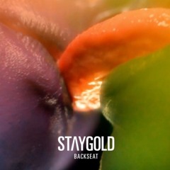 Staygold - Backseat (Shazam Remix)