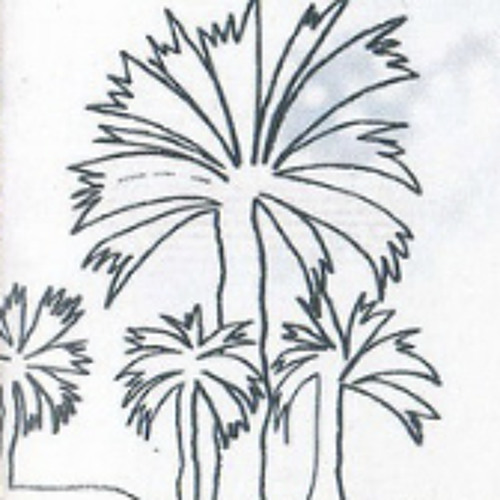 نااي