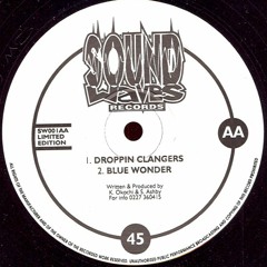 PLASTIC SOLUTION DROPIN CLANGERS REMIX