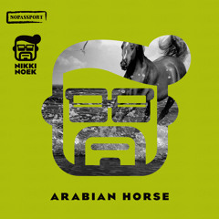Nikki Noek — Arabian Horse (R-Tem Remix)