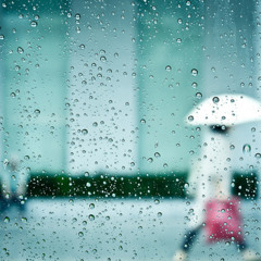 Rainy Day(비오는 날) - Lucite Tokki