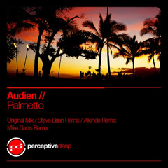 Audien - Palmetto (Original Mix)