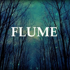 Flume - Sleepless feat. Jezzabell Doran (BeagleClassDestroyer Remix)