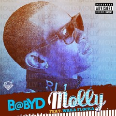 Baby D Ft. Waka Flocka Flame - Molly