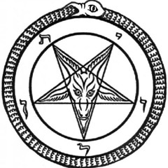 SHAPESHiF†ER COMA †WiNS