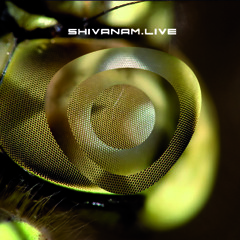 SHIVANAM LIVE Album 2010 Track 10 Hopi Ritual