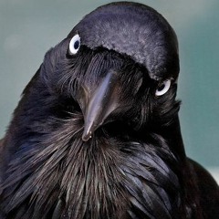 A Dream within a Dream & The Raven (The Alan Parsons Project remix)