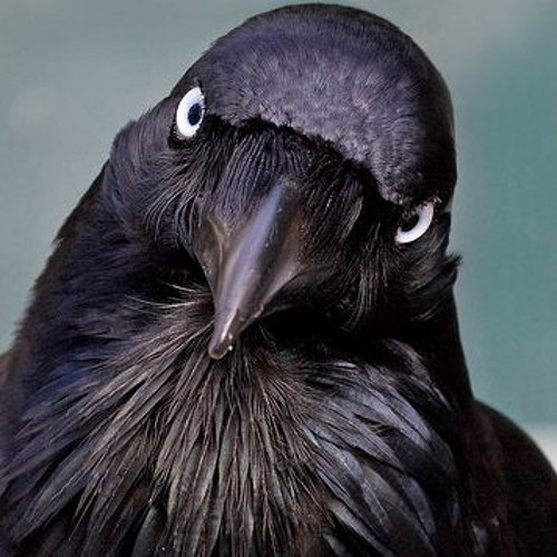 A Dream within a Dream & The Raven (The Alan Parsons Project remix)