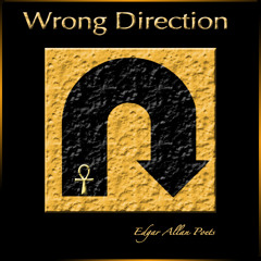 Edgar Allan Poets - Wrong Direction