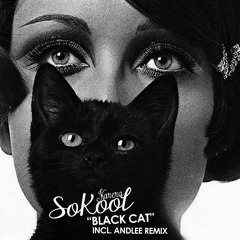 [KARERAFREE004] SoKool - Black Cat