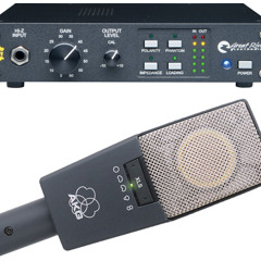 Acoustic Guitar - Great River ME-1NV & AKG C414 B-XLS