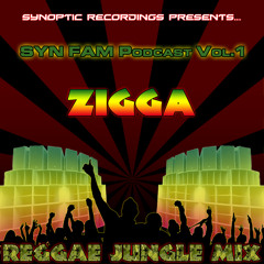 Reggae Jungle mix - Syn Fam Podcast 1
