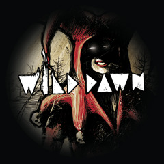 Sorry For Party Rocking (LMFAO Cover)