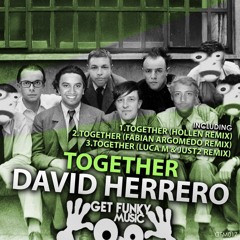 David Herrero - Together (Hollen Remix)