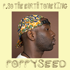 P.SO the Earth Tone King- Poppy Seed