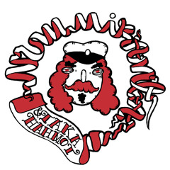 Nummiranta & Takahahmot - Sairaslomaa