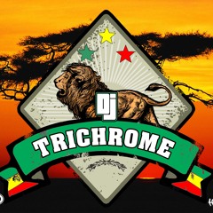 Trichrome2012 spring tour mix
