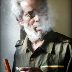 Max Romeo Dub Fi CHX - Iron Shirt