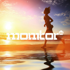 Monitor 66 - Triscuits (Roberto Rodriguez Remix)