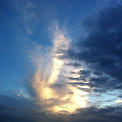 Shimmering Rain