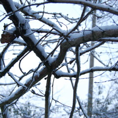 I Was Broken (Marcus Foster).m4a