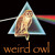 Artwork for Weird owl - White hidden fire