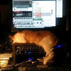 Reautomated Corpse (Atrociously peaked out mix of an old experiment)