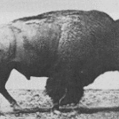 Cut like a Buffalo (The Dead Weather Remix)