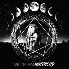 Metaform "Winter City"