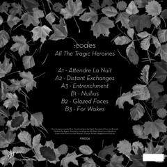 :codes - Nullius (B1)