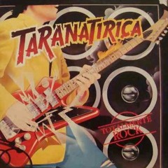 RS Rock - realfetter