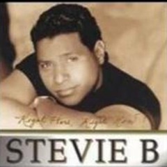 Spring Love ( Club Mix ) - Stevie B