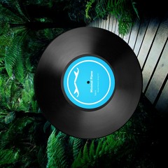 KlangKuenstler Pfoetchentango 3000 Records