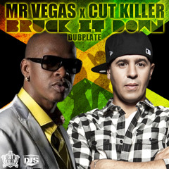 Mr Vegas x Cut Killer - Bruck It Down | Dubplate