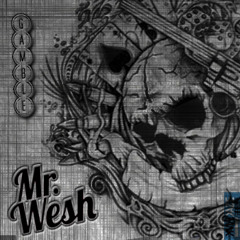 Mr Wesh-Down