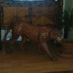 S. pineda - Everythings Green