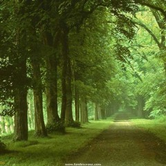 Nature Boy (nkorppi cover)