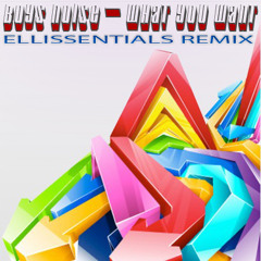 Boys Noize - What You Want (Ellissentials Remix)