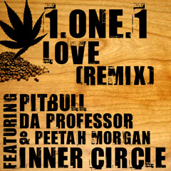 1.One.1 Love (Remix) by Inner Circle ft. Pitbull & Da Professor