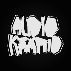 Audiokäärid - Highs & Lows