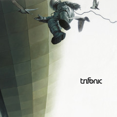 Nightrun (collaboration w/ Trifonic)