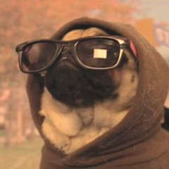 The Hip-Hop Megamix Mashup