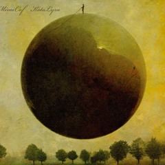 MimiCof "Microscopium" sample from "KotoLyra" PFCD33