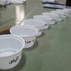 Sliver Live Jam @Artsy Fartsy Party :D