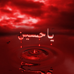 Nohay