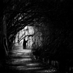 Through the darkness shines light